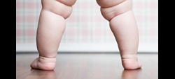 Día Mundial de la Nutrición
